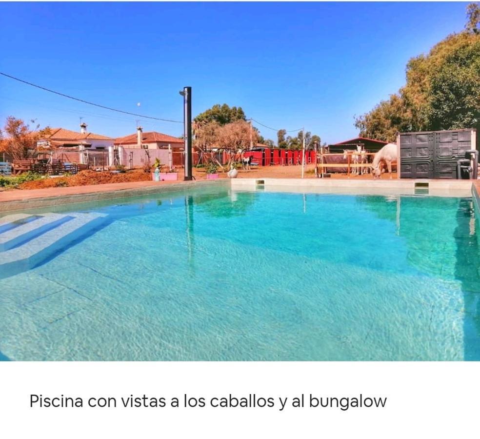 Ferienwohnung Granja America Chiclana de la Frontera Exterior foto